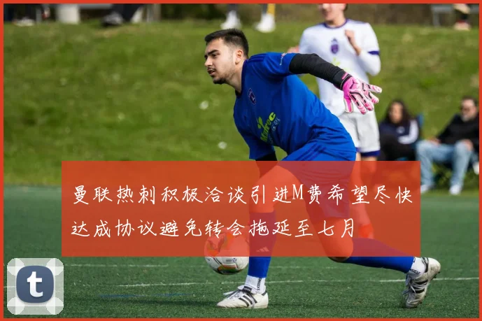 曼联热刺积极洽谈引进M费希望尽快达成协议避免转会拖延至七月
