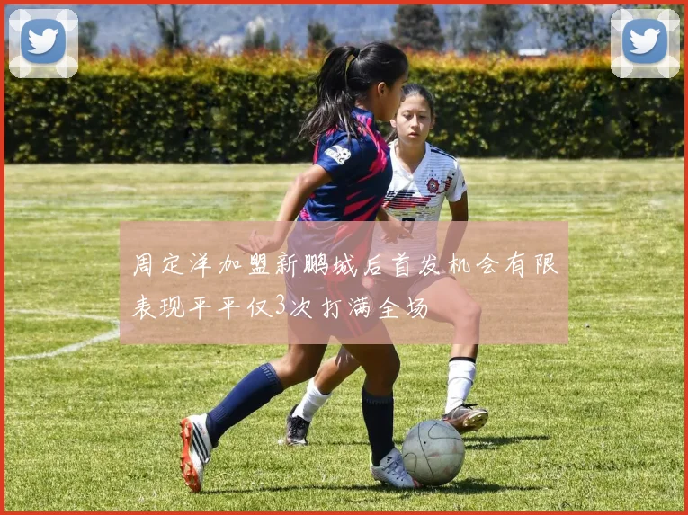 周定洋加盟新鹏城后首发机会有限表现平平仅3次打满全场