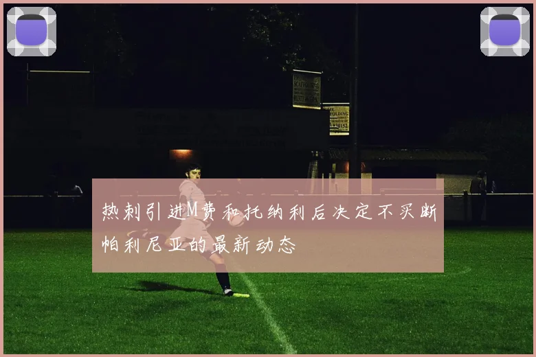 热刺引进M费和托纳利后决定不买断帕利尼亚的最新动态